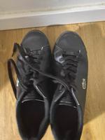 Lacoste Schuhe Nürnberg (Mittelfr) - Sündersbühl Vorschau