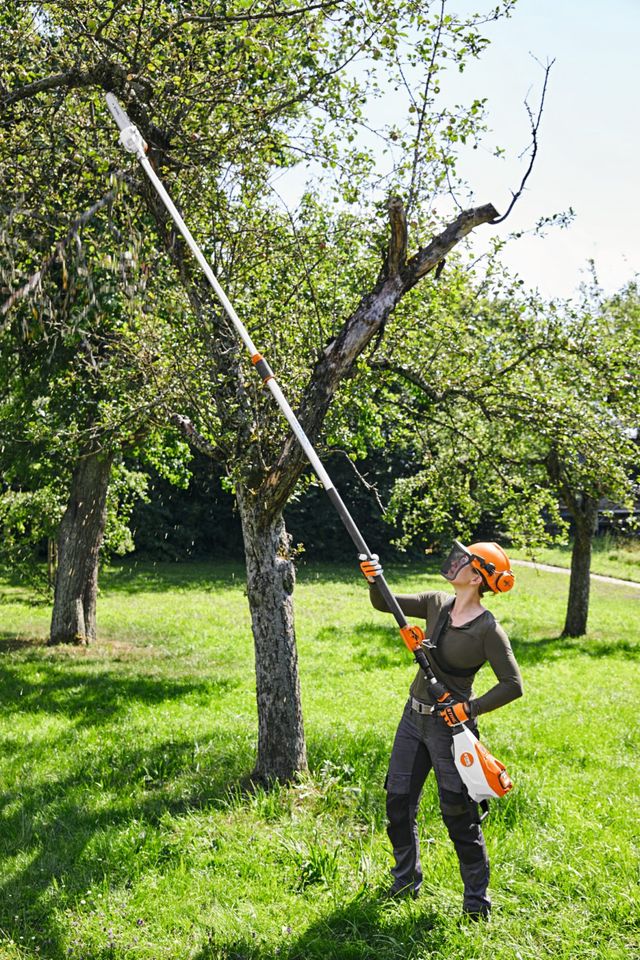 STIHL AKKU-HOCHENTASTER HTA 135 - AP-SYSTEM in Hofkirchen