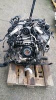 Motor VW Touareg 3.0 Tdi 340PS CKD CKDA bj2014 Komplett Rheinland-Pfalz - Waldalgesheim Vorschau