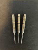 Steeldart Adrian Lewis 23g Bayern - Hausen Oberfr. Vorschau