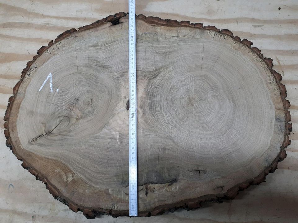 Große XXL Baumscheibe glatt gehobelt Holzscheiben Eiche 50 - 90cm in Mansfeld
