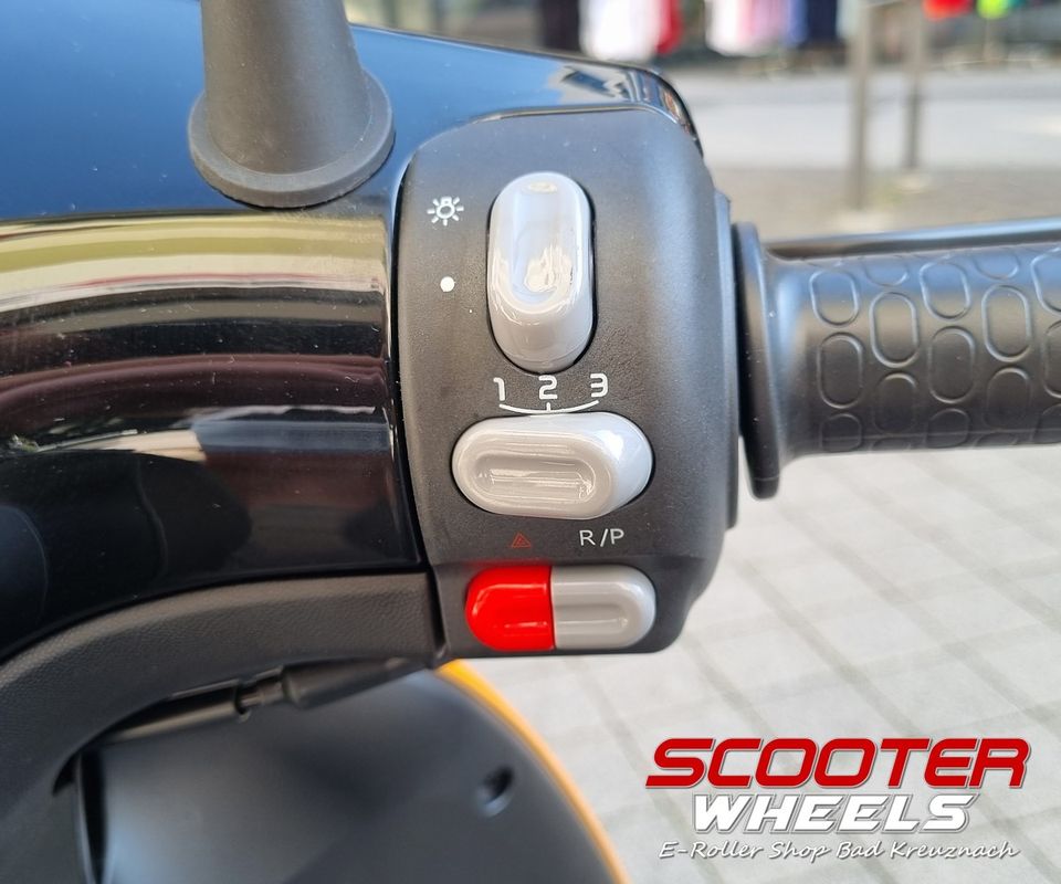 ⚡NEU ⚡Horwin EK1 Elektroroller ⚡ 36Ah Akku 45km/h 2,8 kW Scooter in Bad Kreuznach