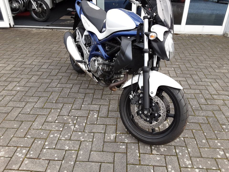 Suzuki Gladius SFV 650A  ABS in Horstedt bei Husum, Nordsee