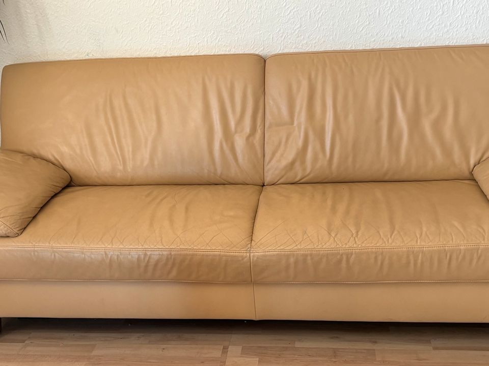 Couch / Sofa in Flensburg