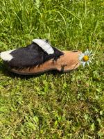 Devich Holzschuhe Bayern - Immenstadt Vorschau