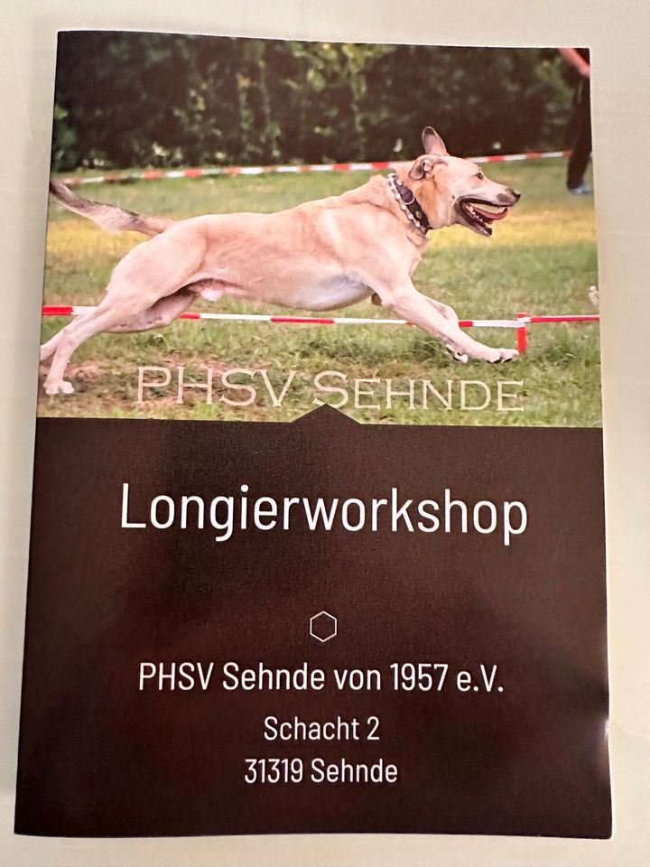 Longieren mit Hund 2 Tage Workshop 15./16.06.2024 in Sehnde in Sehnde