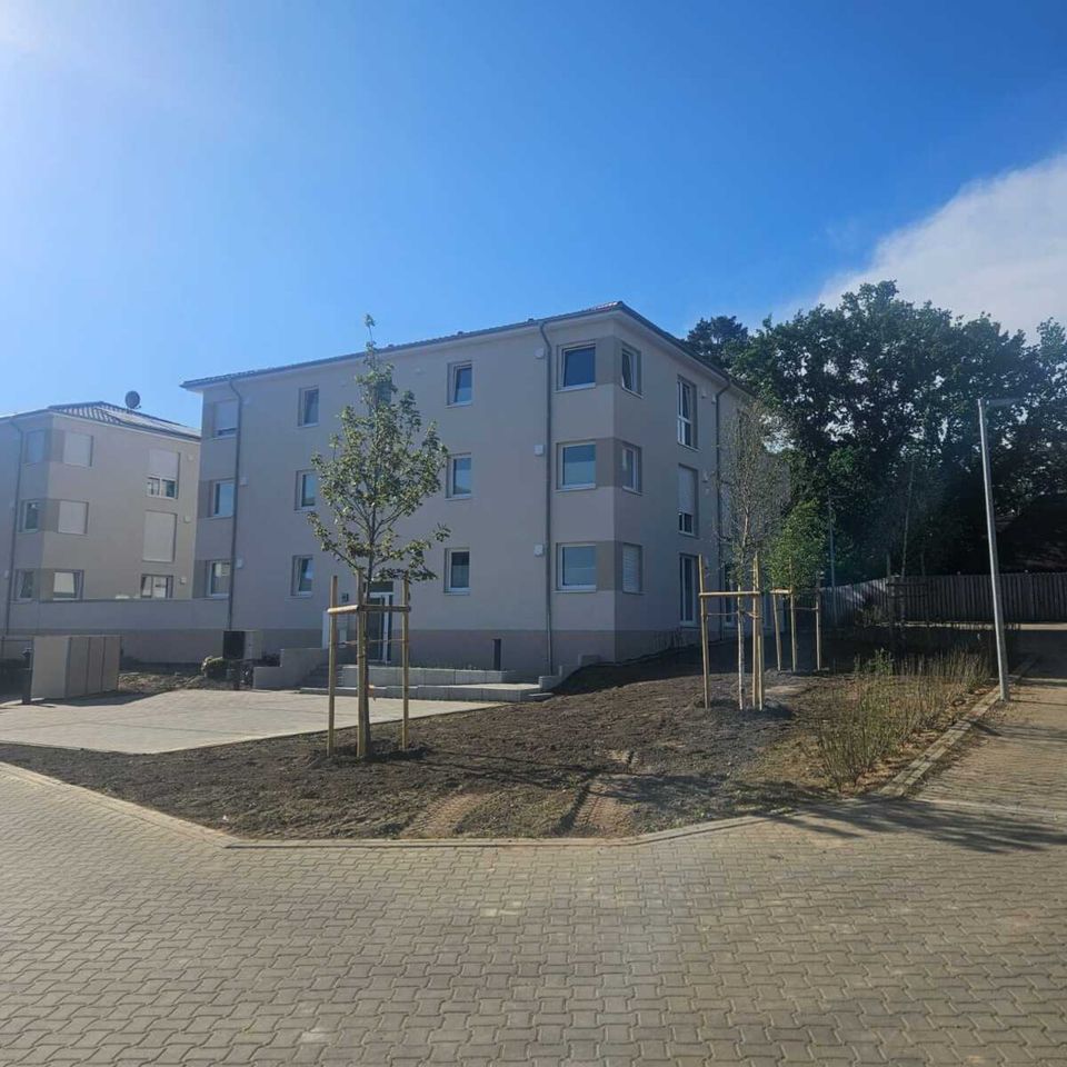 Moderne Wohnung mit Süd-Balkon in Schwülper! Barrierefrei, Aufzug, Keller, PV in Schwülper