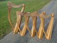 Online Harfe Unterricht Workshop Anfänger 3x 14,- € Rheinland-Pfalz - Alzey Vorschau