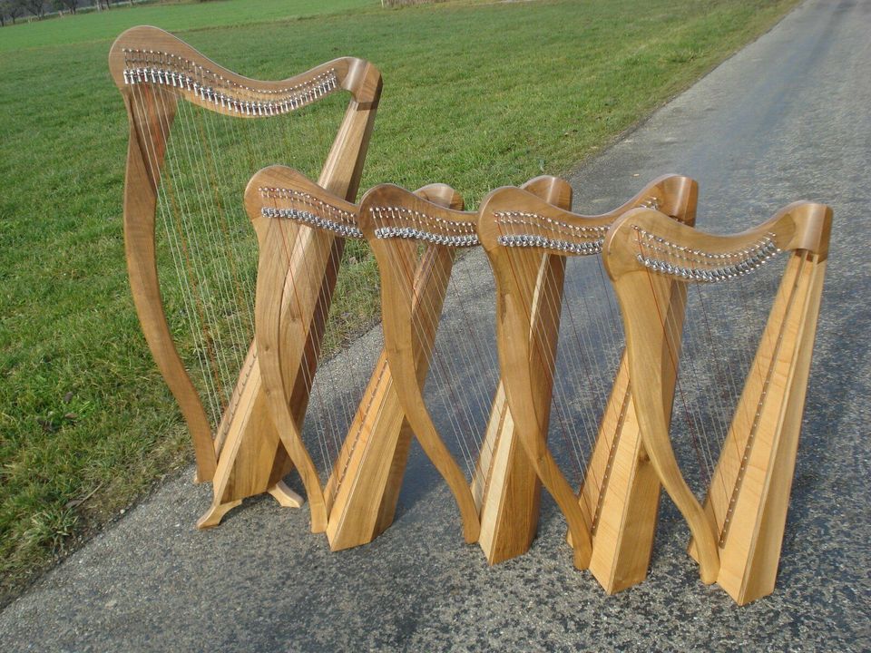 Online Harfe Unterricht Workshop Anfänger 3x 14,- € in Alzey