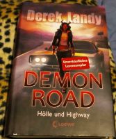 Derek Kandy "Demon Road" Baden-Württemberg - Wilhelmsfeld Vorschau