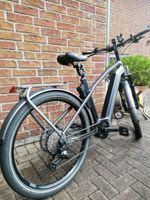 E-Bike Kalkhoff Endeavour 7B Advance 48cm Nordrhein-Westfalen - Hövelhof Vorschau