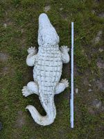 Krokodil, Gartendekoration Niedersachsen - Harsefeld Vorschau