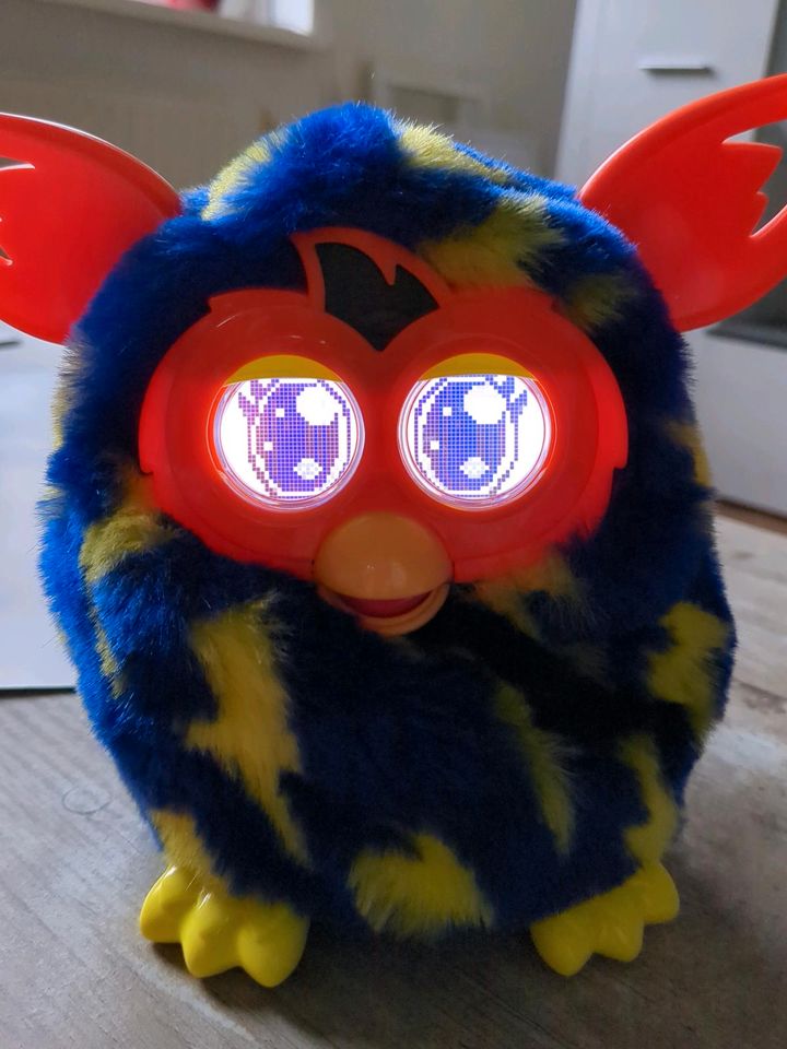 Furby boom in Nienburg (Weser)