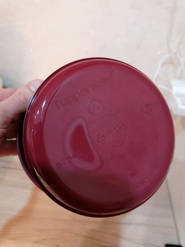 Tupperware neu Weihnachtsdosen Weihnachtsrunde 2x575 ml in Runkel