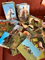 Postkarte Pferde Sammlung Pferdekarten Bayern - Wörth Kr. Erding Vorschau