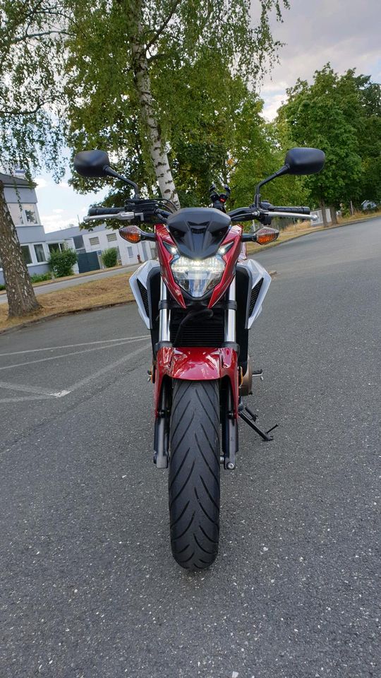 Honda CB500F aus erster Hand in Strullendorf