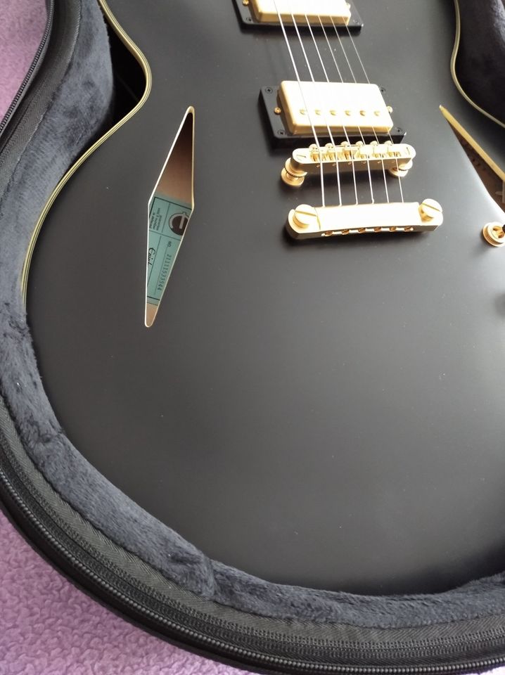 Epiphone Sheraton Emily Wolfe Stealth Ebony in Frankfurt am Main