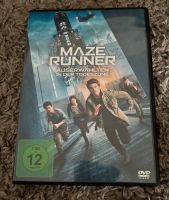 Maze Runner 3 DVD Neuhausen-Nymphenburg - Neuhausen Vorschau