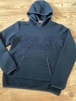 Jack Wolfskin Pullover Gr 152 Brandenburg - Bad Freienwalde Vorschau