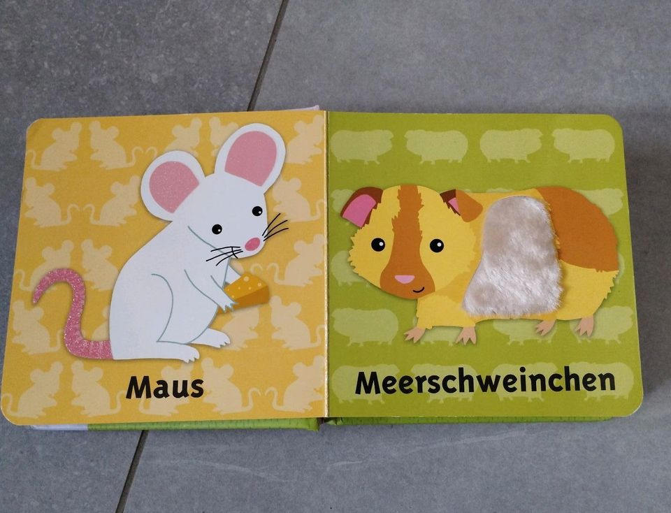 Erste Haustiere, 6+ M, Kinderbuch in Wangen im Allgäu
