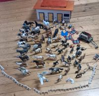 Schleich Set Stall mit 53 Pferden, Kutsche, 7 Menschen + Zubehör Essen - Essen-Werden Vorschau