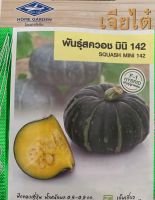 Thai Mini Kürbis Fak Thong Pumpkin ฟักทอง Thailändischer Kürbis Brandenburg - Frankfurt (Oder) Vorschau