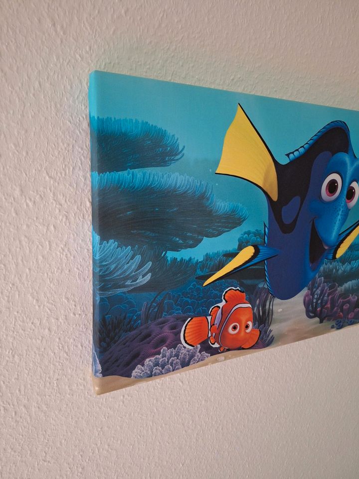 Findet Nemo Bilder Wandbild Leinwand 60x40 u. 35x25cm in Dresden