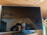 Samsung 40 Zoll Fernseher LE40D550K1W Thüringen - Weida Vorschau