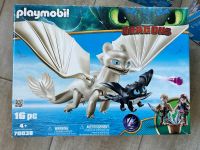 Playmobil Dragons 70038 Hessen - Groß-Rohrheim Vorschau