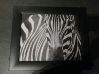 Zebra Wandbild im Rahmen Hamburg-Mitte - Hamburg Hamm Vorschau