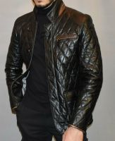 Herren Lederjacke/ Steppjacke Echtleder Gr 48,50,52 Nordrhein-Westfalen - Herford Vorschau