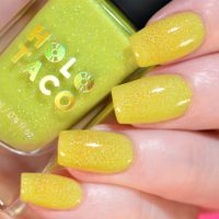 SUCHE Holo Taco Nagellack "Hi-Def" Sachsen-Anhalt - Magdeburg Vorschau