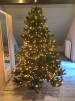 Weihnachtsbaum künstlich Rheinland-Pfalz - Bremberg Vorschau