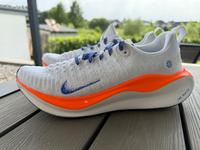 Nike InfintyRN 4 FP Neu Gr. 41 Laufschuh Damen UPE 170€ Rheinland-Pfalz - Wittgert Vorschau