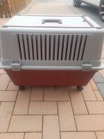 Hunde Katzen Box Tiertransportbox Häfen - Bremerhaven Vorschau