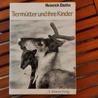 Antik Buch Tierpark Berlin 1981 Bildband Dathe Zoo DDR Sachsen - Auerbach (Vogtland) Vorschau