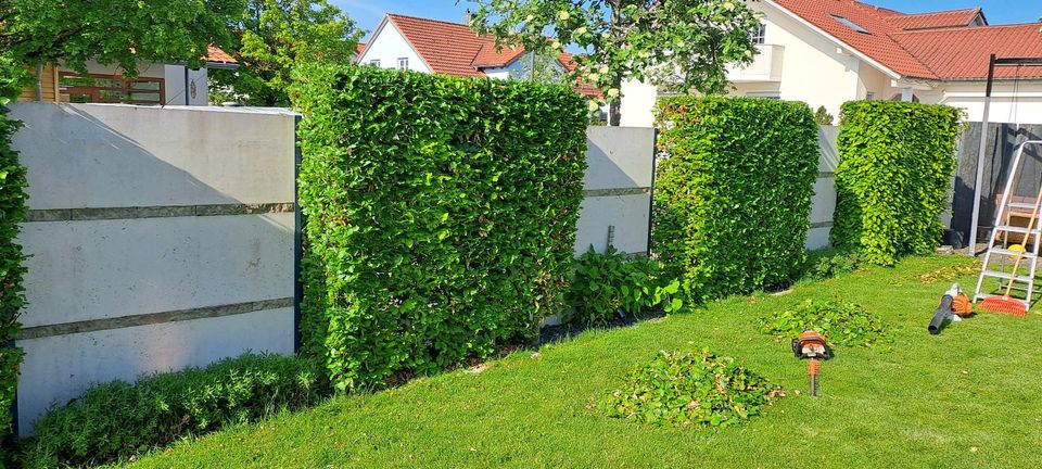 Gartenarbeiten Gartenpflege in Ingolstadt