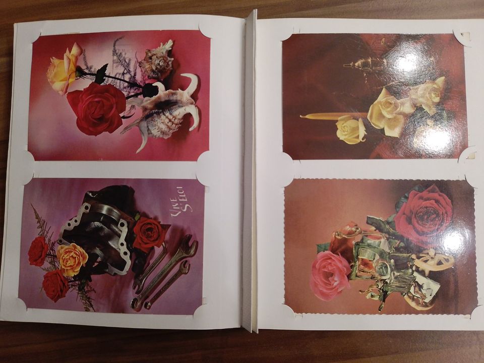 Postkarten Rosen im Album in Schildau