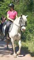 Freizeitpferd Stute Schecke SANNA Rheinland-Pfalz - Haßloch Vorschau