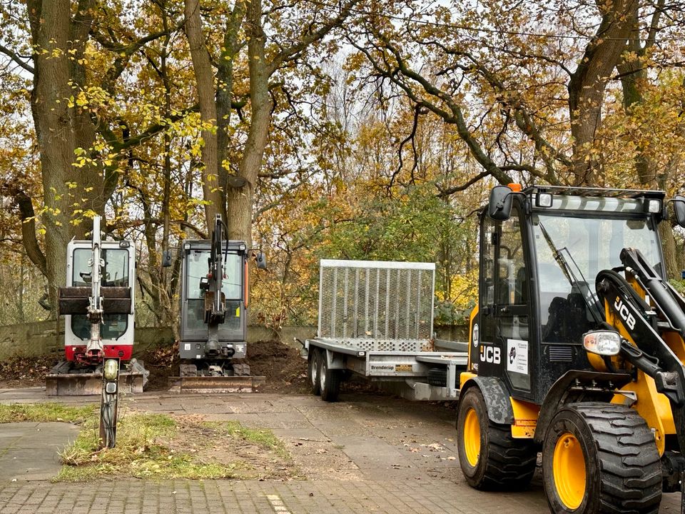 Radlader 2,7t JCB 403 mit 1.650kg Hubkraft mieten / leihen in Ahrensburg