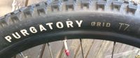 SPECIALIZED Reifen / Purogatory Grid T/ /29 x 2,3 / 58 - 622 Nordrhein-Westfalen - Sprockhövel Vorschau