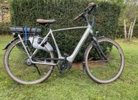 EBike wie neu Herrenrad citybike Tourenrad Gazelle Hollandrad Rheinland-Pfalz - Zweibrücken Vorschau