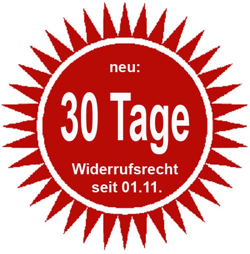 *neues* Modell Meisterkopie Viola Bratsche - A Qualität, 2024 in Offenbach