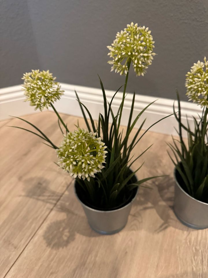 2x Blumen mit Vase in Höxter