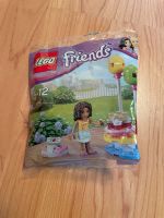 LEGO Friends Geburtstagsparty 30107 Niedersachsen - Seevetal Vorschau