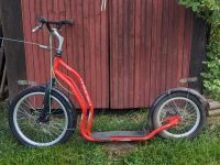 Roller Yedoo Mezeq Disc Dogscooter / Tretroller Westerwaldkreis - Niedersayn Vorschau