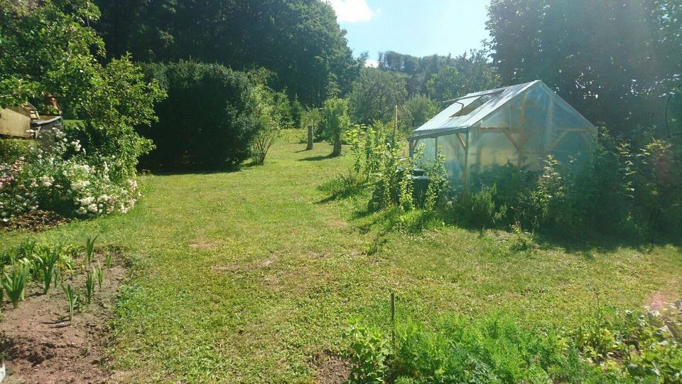 Schönes Gartengrundstück Garten 800 m² zu verpachten zu vermieten in