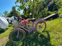 20 Zoll Mädchen Fahrrad Pink 1 Jahr alt Niedersachsen - Hambühren Vorschau