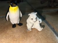 Schleich Eisbärbaby und Pinguin Altona - Hamburg Lurup Vorschau