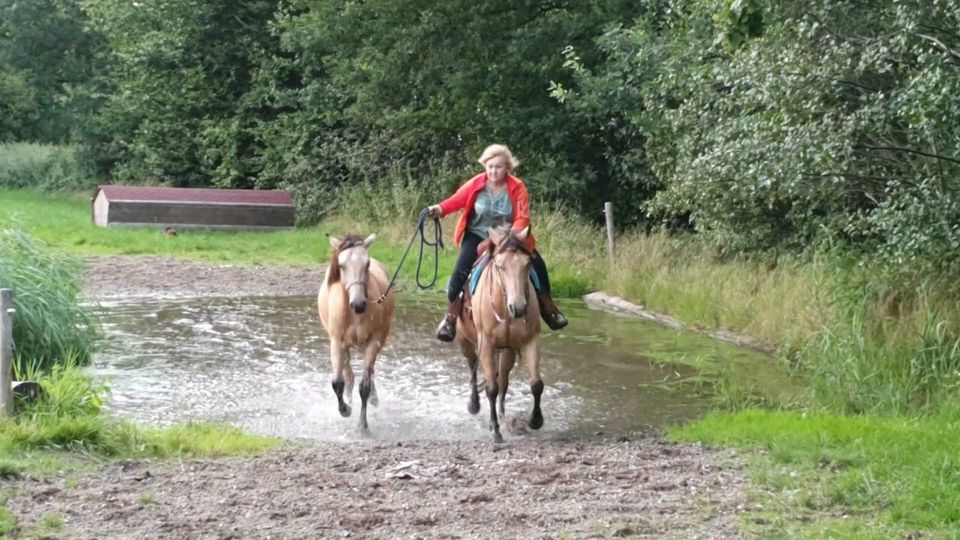 Westernreitabzeichen 4 und 3, 2, Sept./Okt. 2024 in Ahrensburg